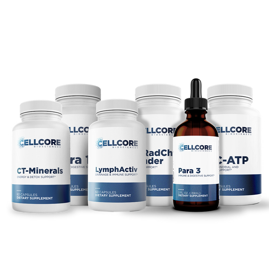 Phase 3: Whole Body Immune Support